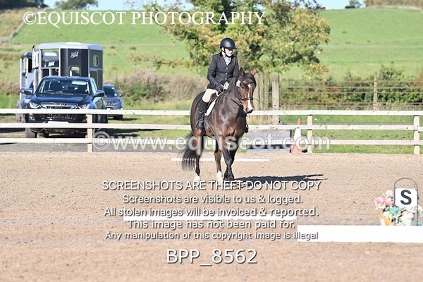 BPP_8562 - SHORT ARENA