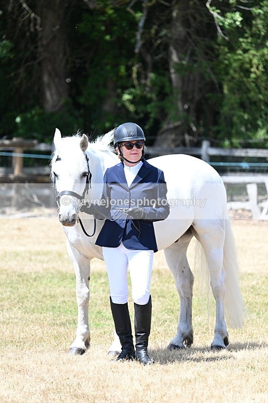 WJ7_2397 - Class 5a Most Handsome Gelding in hand (above 14.2hh)