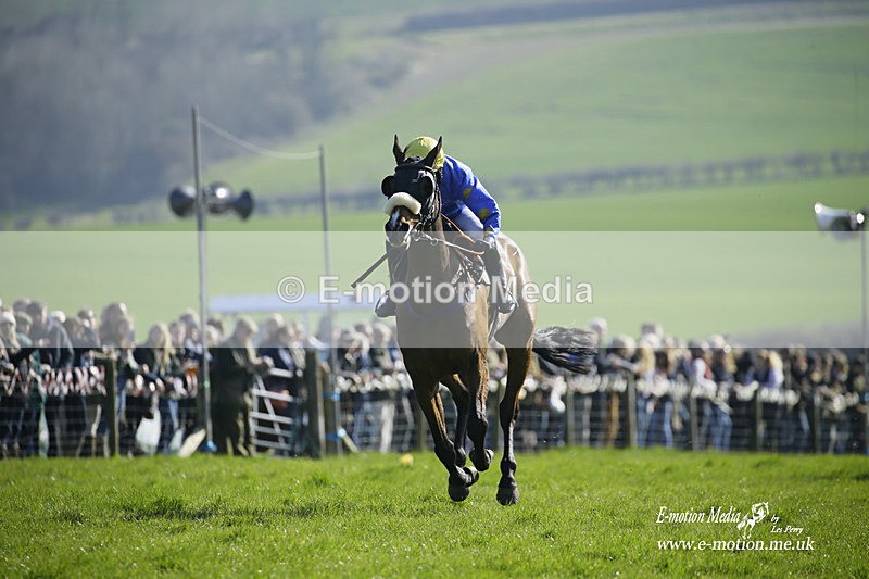 PtP 190322 517 - Wilton Hunt PtP Milborne St Andrew 19/03/22