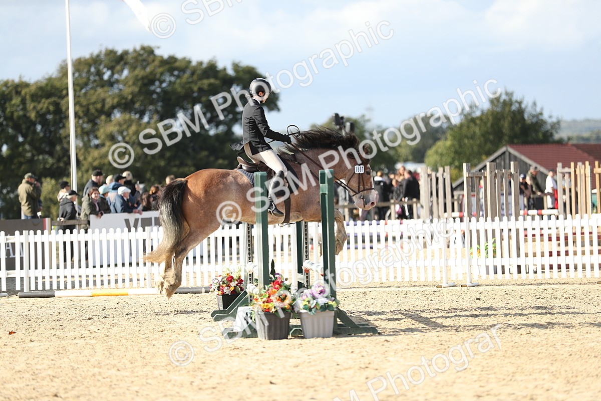 SBM_49599 - J22 - Junior Horse 65cm Championship