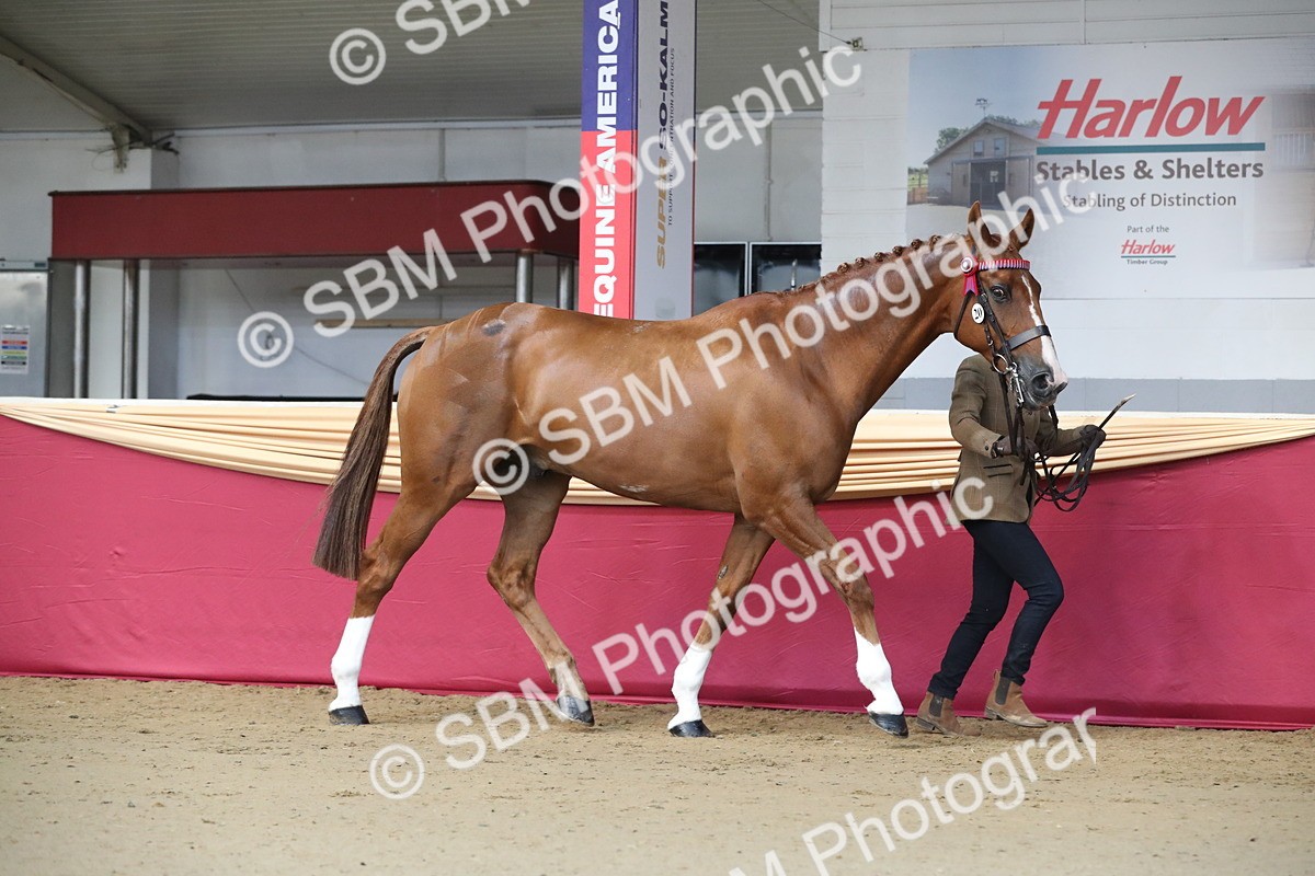 SBM_00518 - class 2a Area IH Veteran