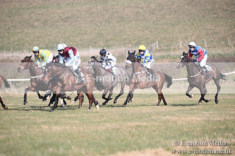 PtP 230219 231 - Vine & Craven Point-To-Point - Barbury 23/02/19