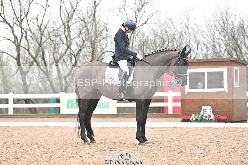 250215-133523-03894 - 165-Elder.Klatzko-Dynasty.Hit