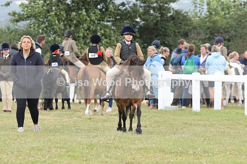 JPP_1759 - Class 18: Tiny Tots Working Hunter Pony