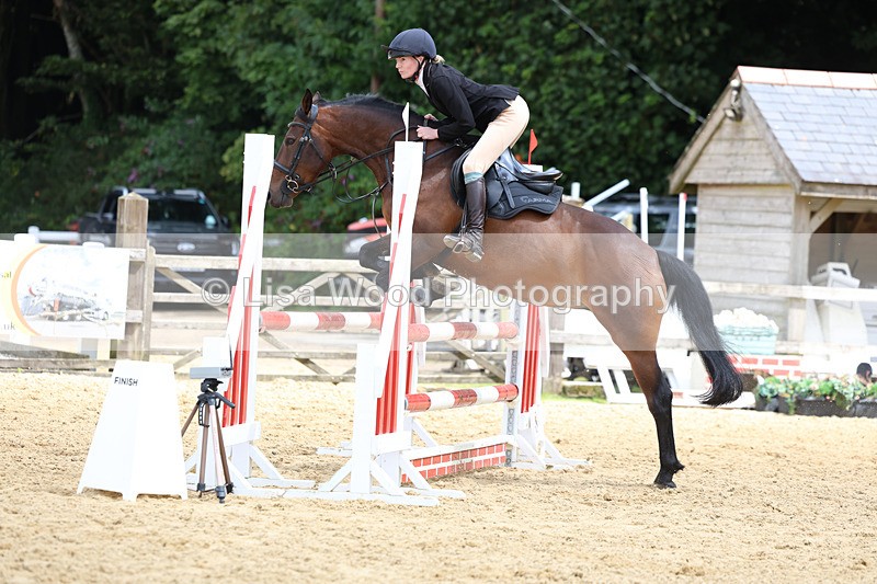 3E7A0056 - Class 9: Senior British Novice/90cm open