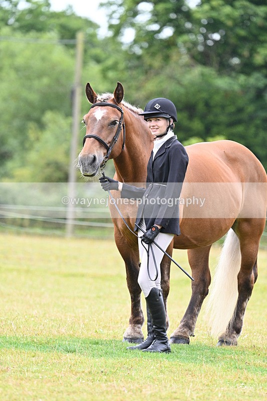 WJ7_6361 - Class 4a Prettiest Mare over 14hh
