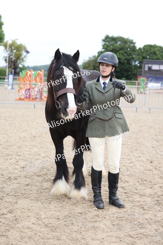 20250524-1030 - Class 9 - Cob and Hunter