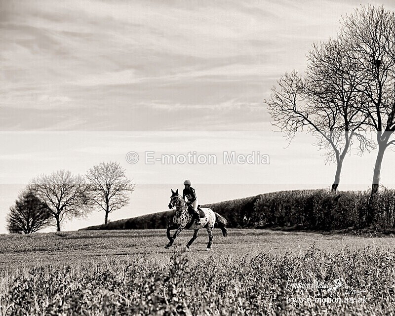 BE 180421 0163bw - B & W photography