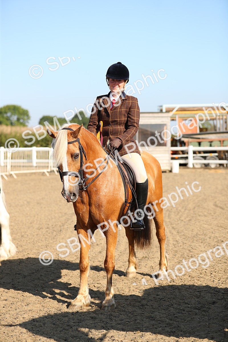 SBM_01242 - Class 42 Ridden Veteran