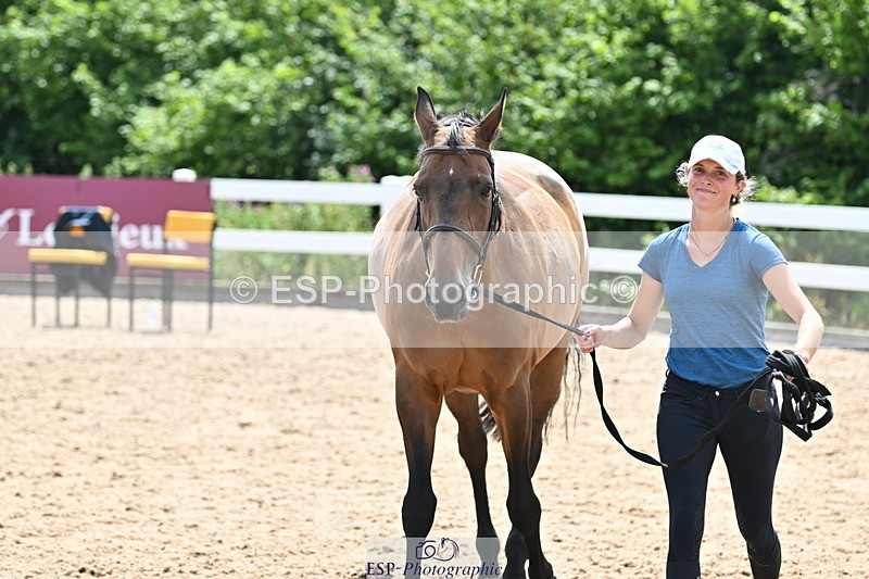 240717A-144813-02306 - Trot Up 2pm to 3pm - This folder is not in time order
