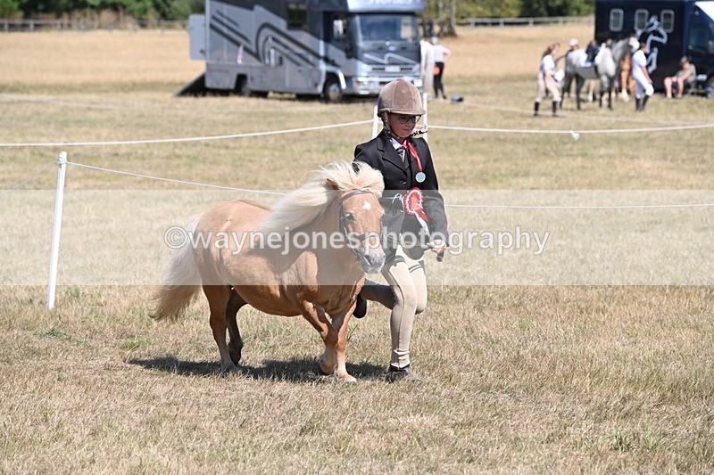 WJ6_9203 - Championship Classes 33-38