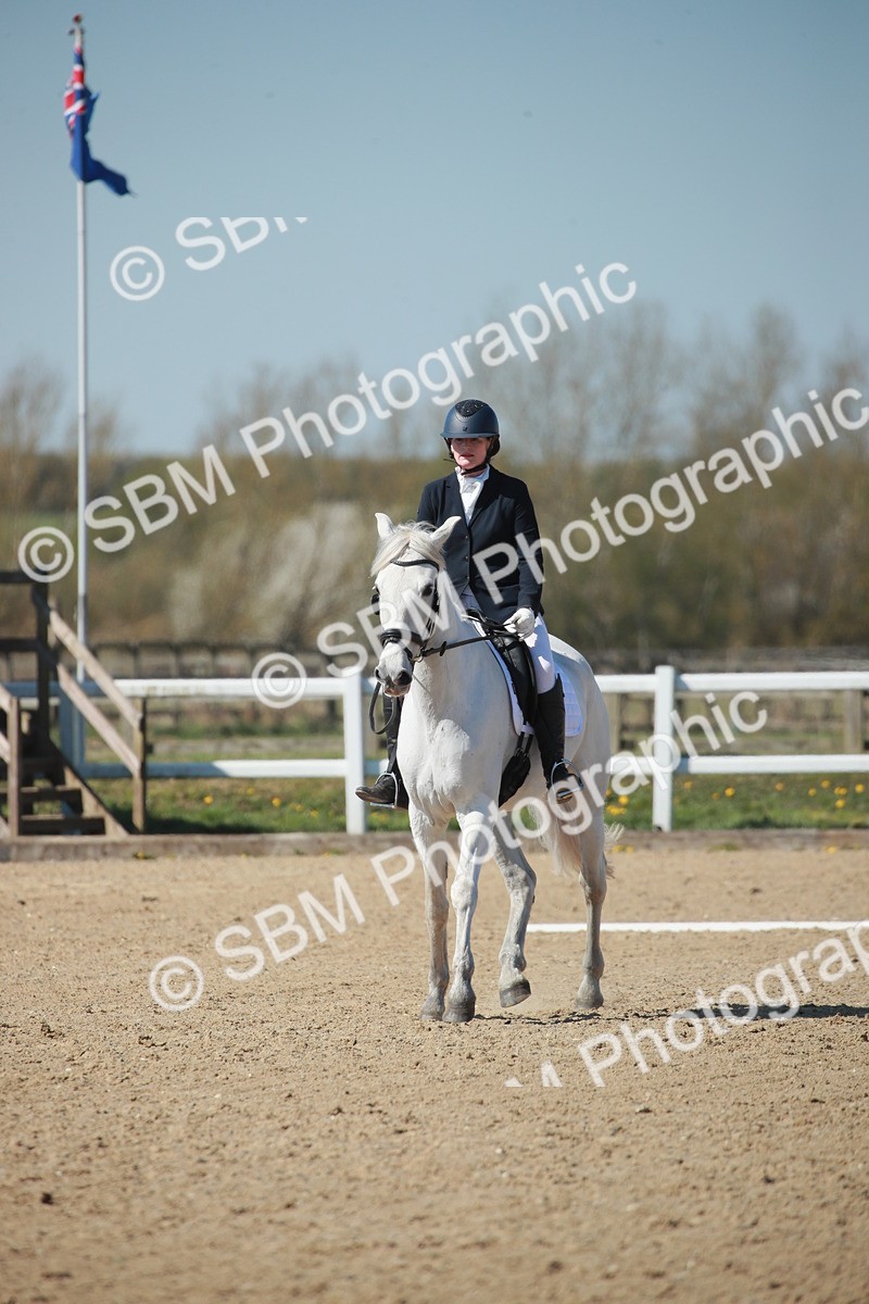 SJ3_0982 - Class 2-5-4-6-7 - Paso Doble-Golega-Sevilla-Lisboa-Novato