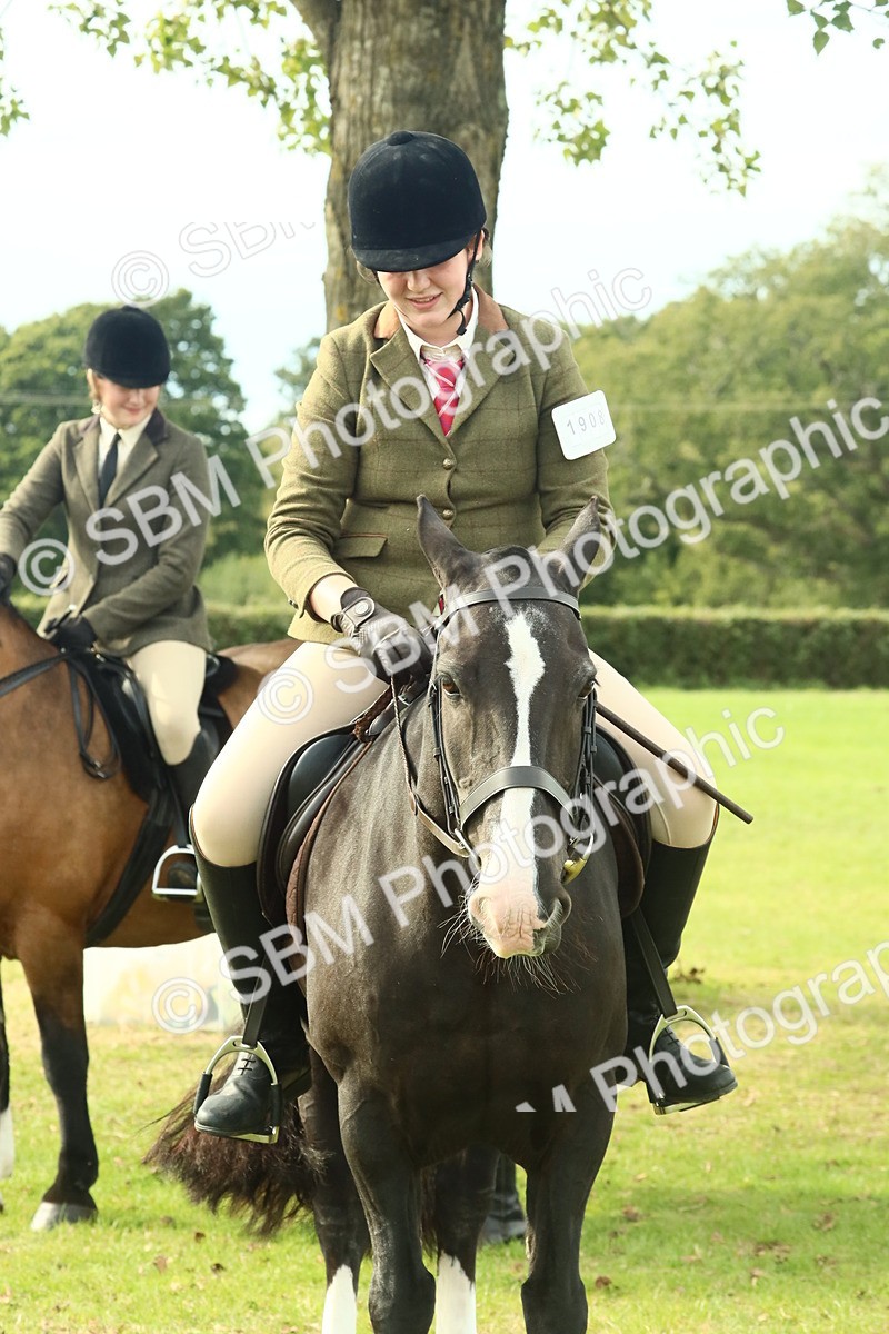 SBM_69383 - S58 - Mini Show Cob Ridden