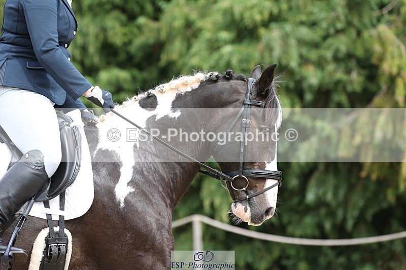 230813-140202-07487 - Cls 11 Elem Bronze 13.15 to 14.10 break