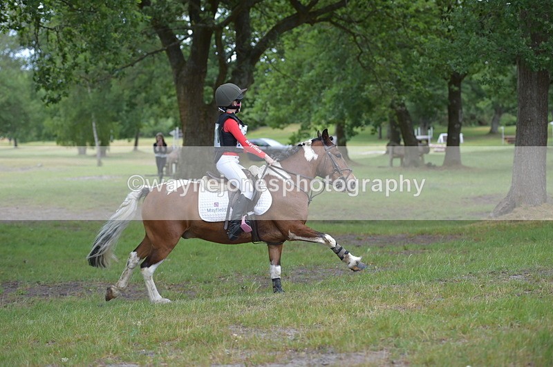 NGP_6647 - Time 10:50 to 11:00