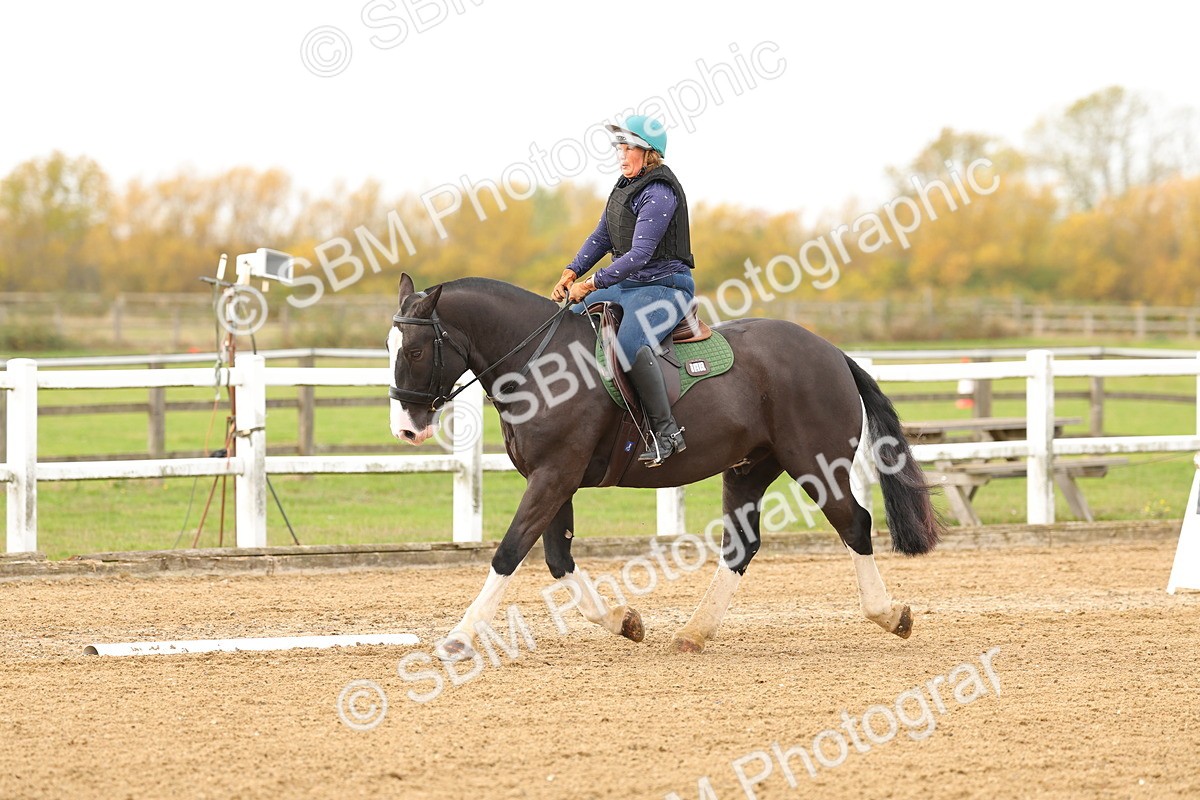 SBM_001011 - Class 13-4-9 - DR P3 CT P3 70cm CT PYO