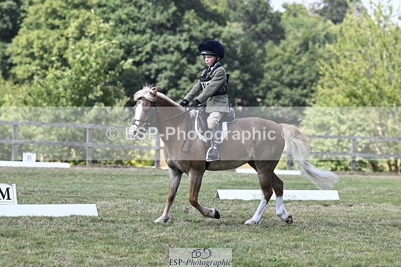 250822A-124905-21922 - DR 12.00 to End