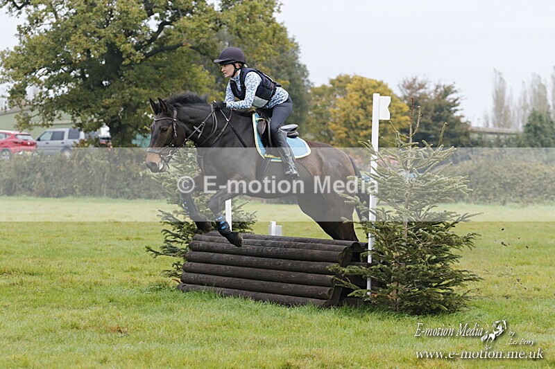 WWHT 181020 WWHT 181020 463 - WWEC Open Novice (0.80m) 18/10/20