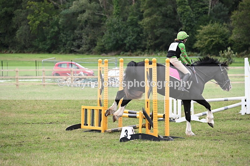 WJ6_1851 - 60cm Time 12:11 to 12:28