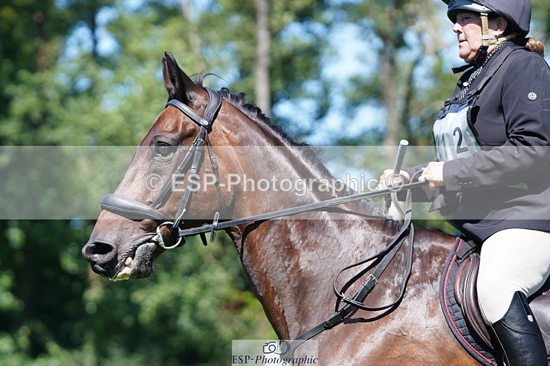 240811A-135926-04137 - 212-