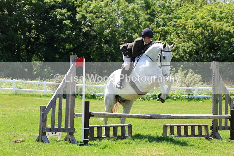 3E7A7482 - Class 31: Working Hunter Cob/Riding Horse