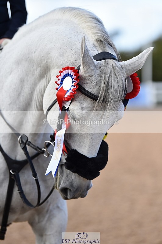 231014A-145642-05397 - Cls 15 1.05m Amateur Q 2nd R