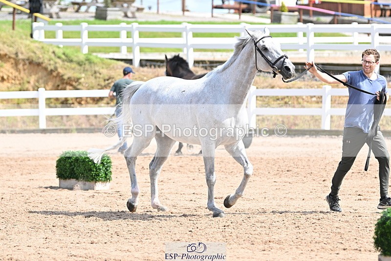 240717A-153859-02942 - Trot Up 3pm to 4pm