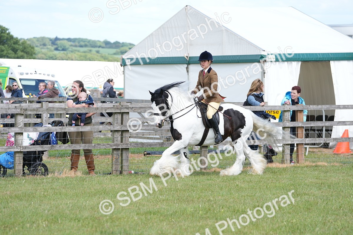 SBM_17153 - Class 107-108 - LIHS BSPS Performance Coloured Horse Pony