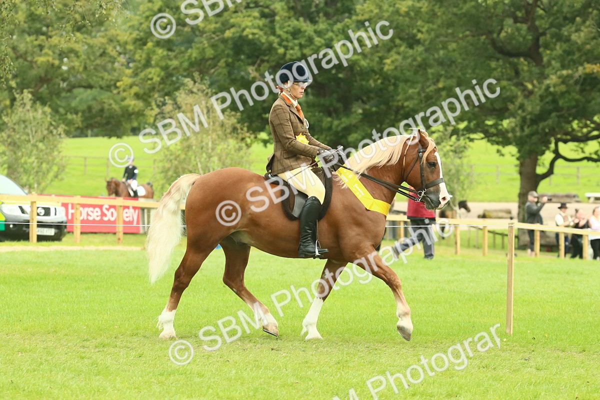 SBM_75008 - Ridden Pony Supreme Championship