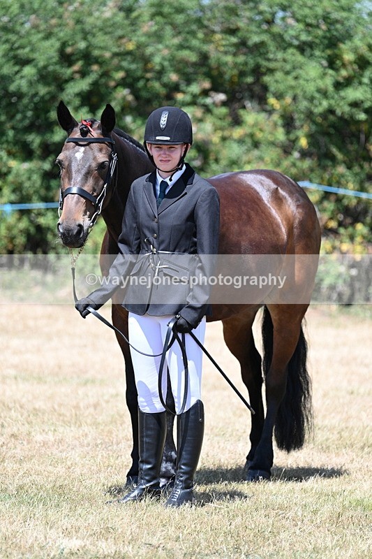 WJ7_2348 - Class 5a Most Handsome Gelding in hand (above 14.2hh)