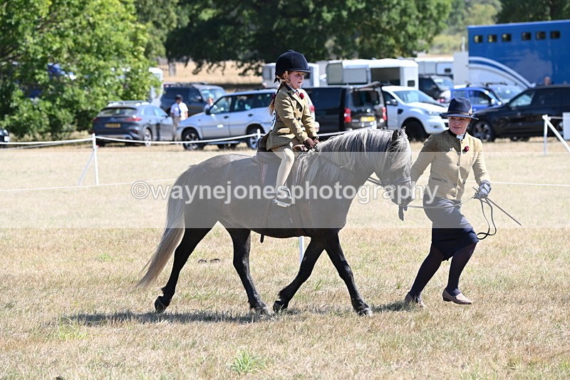 WJ6_7786 - Class 36 Lead Rein