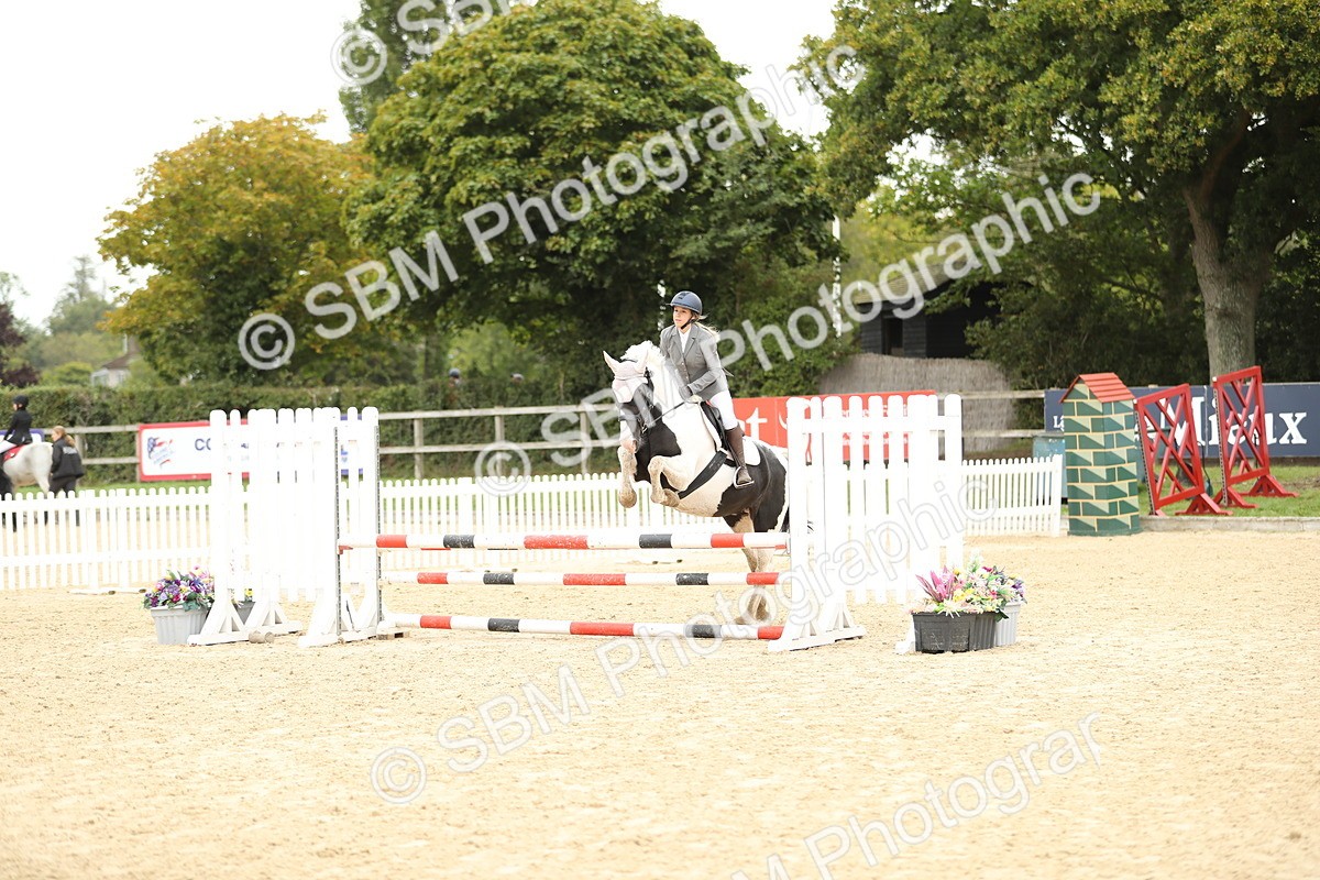 SBM_63078 - Supreme championship 75cm 80cm