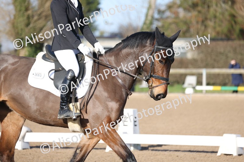 20260128-0137 - Class 3 - Novice 4