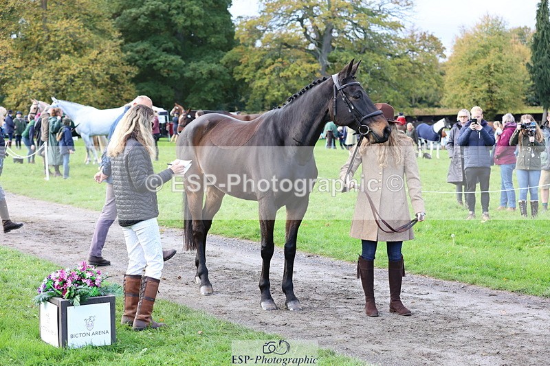 251026A-102354-22951 - E-392-Mary.Lowe