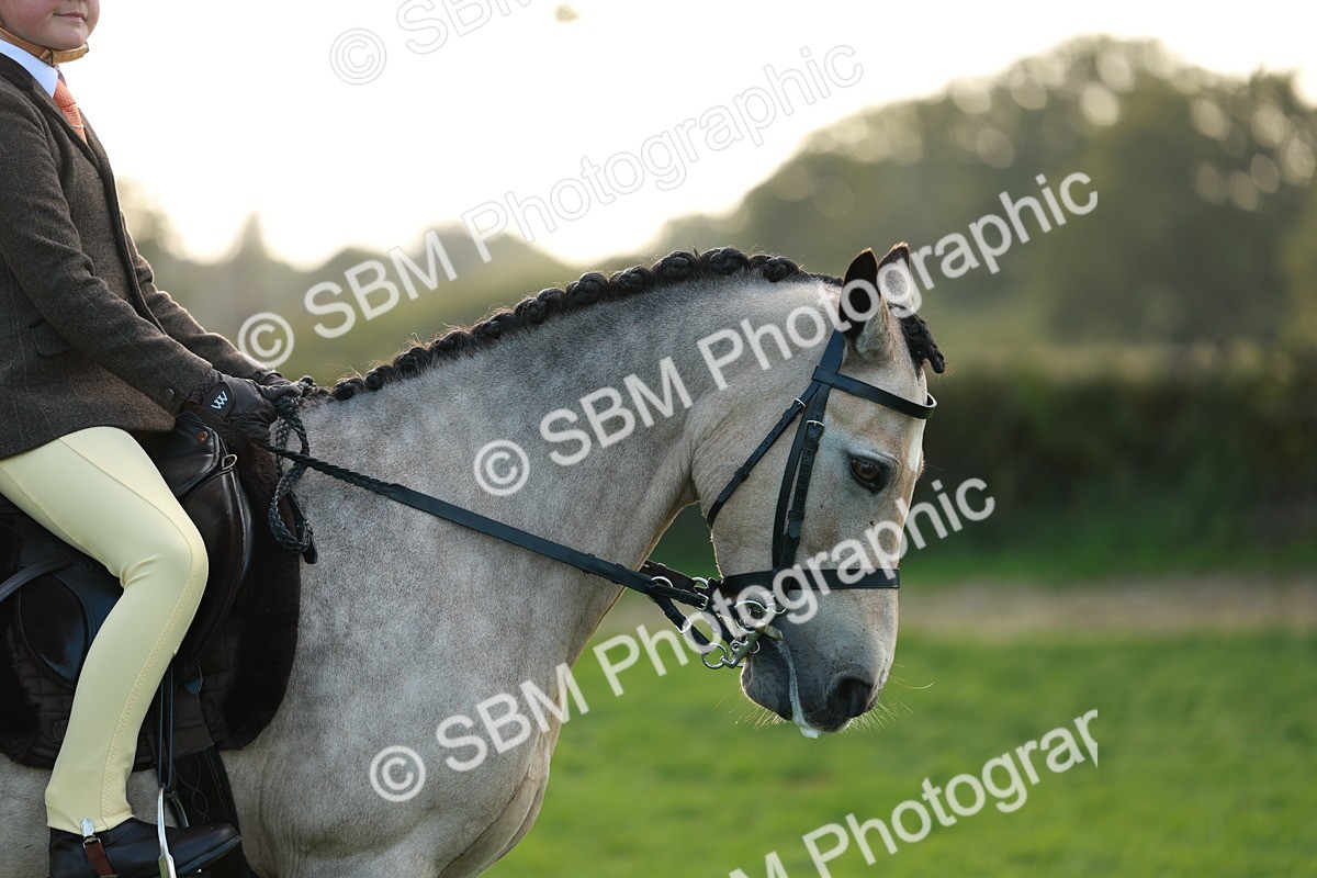 SBM_28817 - S7 - Novice & Newcomer Ridden Pony
