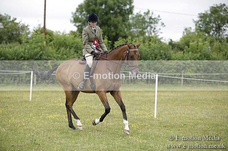 BVR160717-484 - Ring 1 BVRC Show 16/07/17