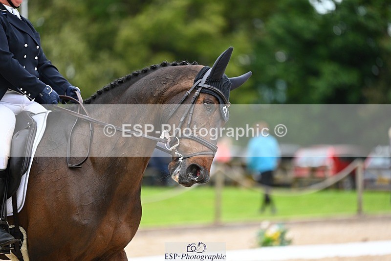 240524-181700-11617 - 165-RIDIRE_DORCHA-Lucy_Stimson