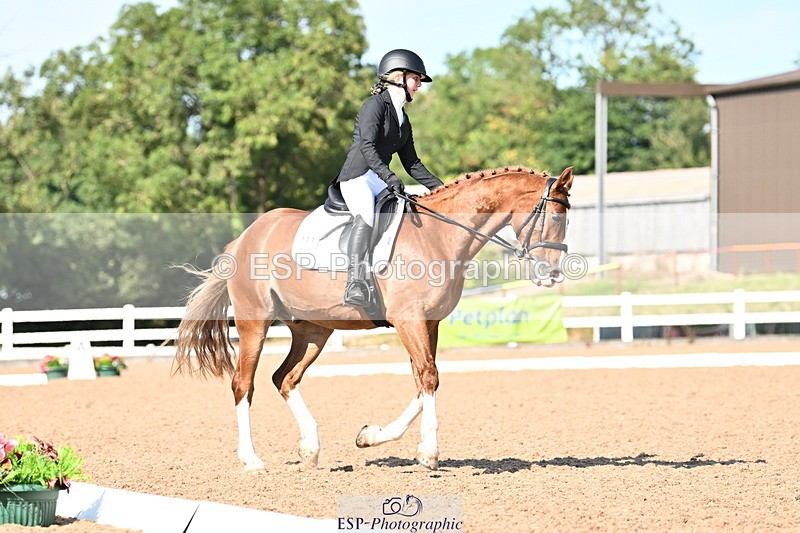 240816A-160930-06092 - 134-Mia.Marshall-Vino