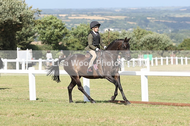 JPP_2901 - Class 20: Working Hunter 70cm