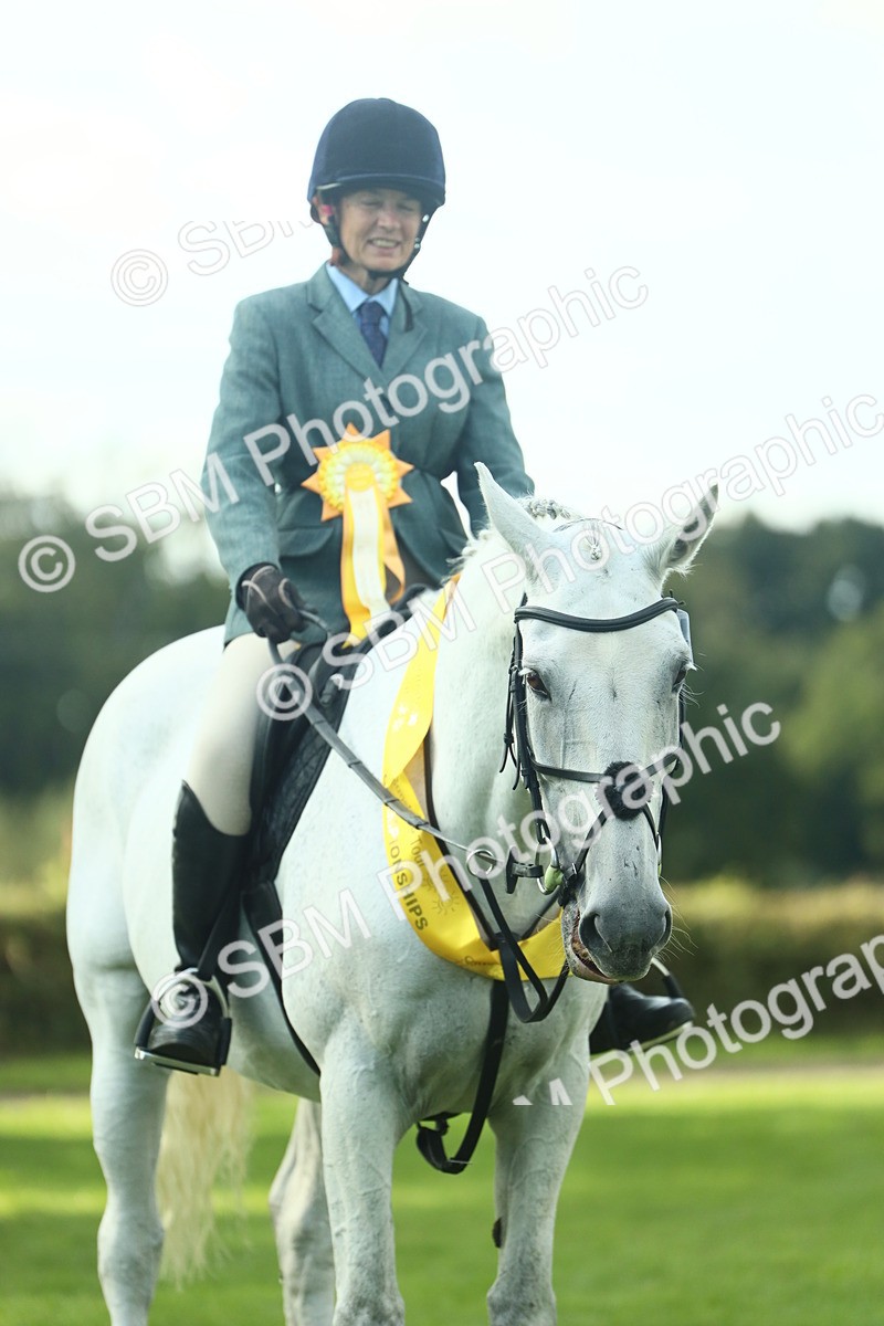 SBM_52223 - S33 - Working Hunter & Working Show Horse