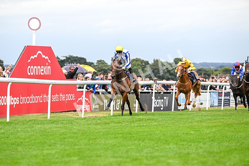 150824-Race 3-Go On Rosie-4163 - Race 3