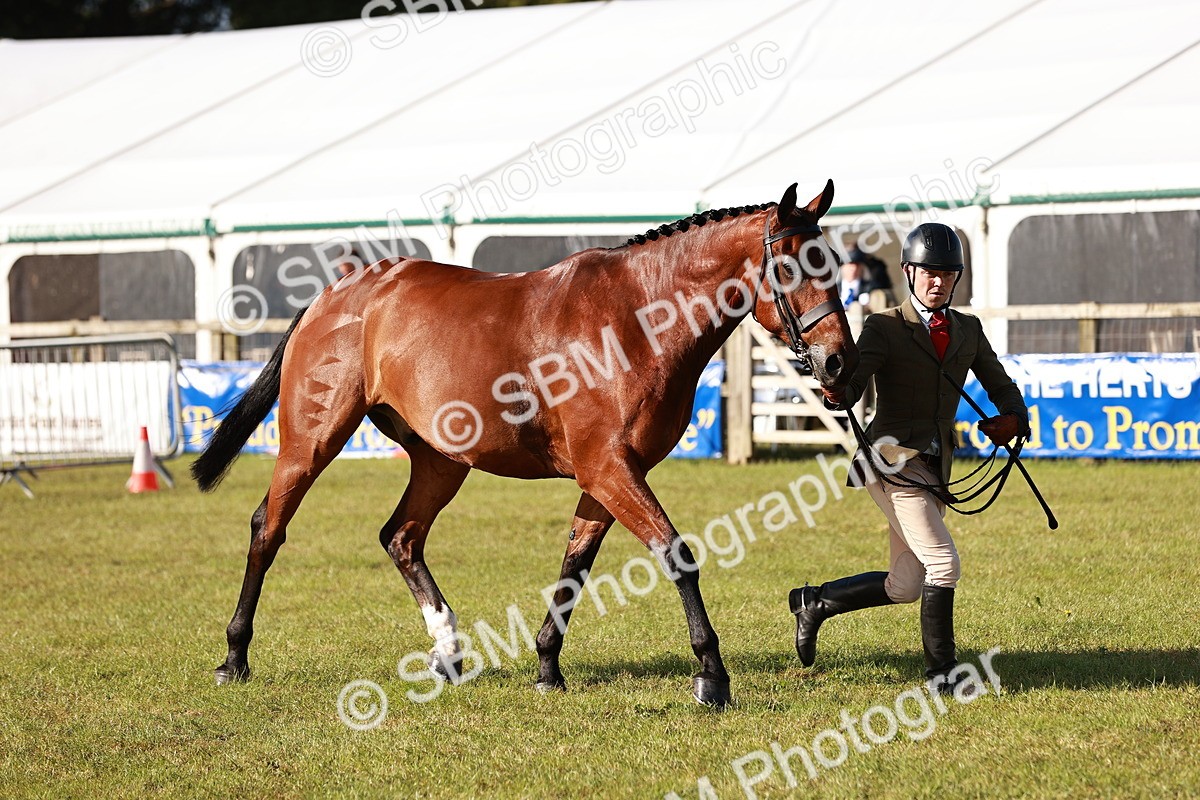 SBM_10809 - Class 81-84 - RIHS Ridden hunters Inc Ladies Hunter