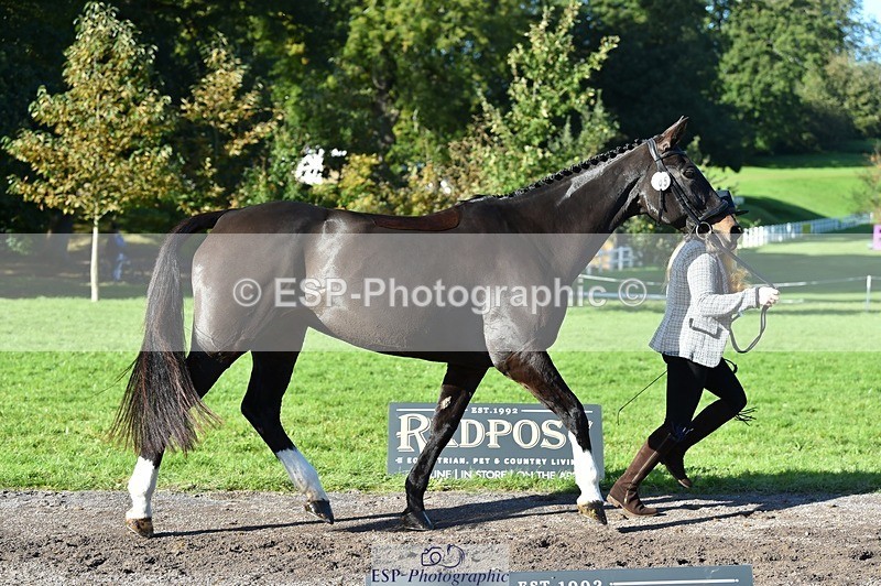 231022-111352-23823 - 565-LITTLE.M.II-Charlotte.Radley-TrotUp+SJ