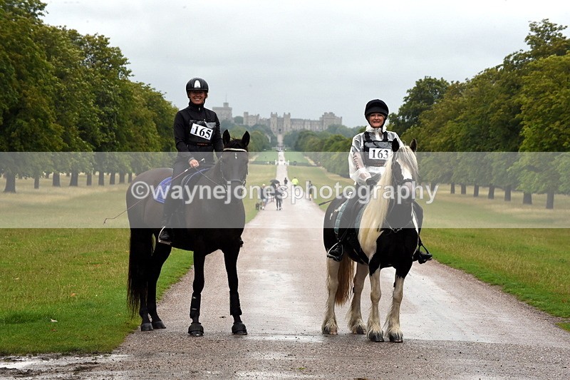 TT3_8198 - Time at Crossing 09:15 to 10:15