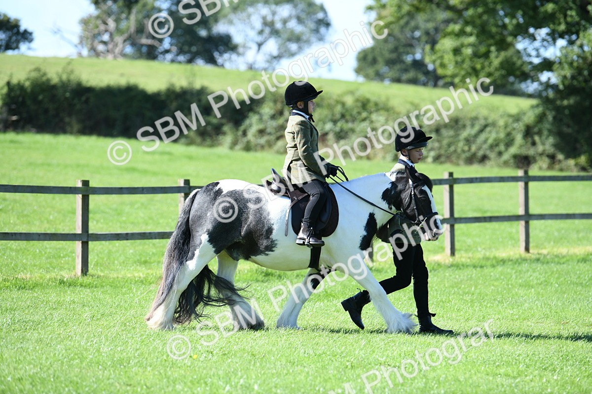 SBM_39568 - S18 - Novice & Newcomers Lead Rein Pony