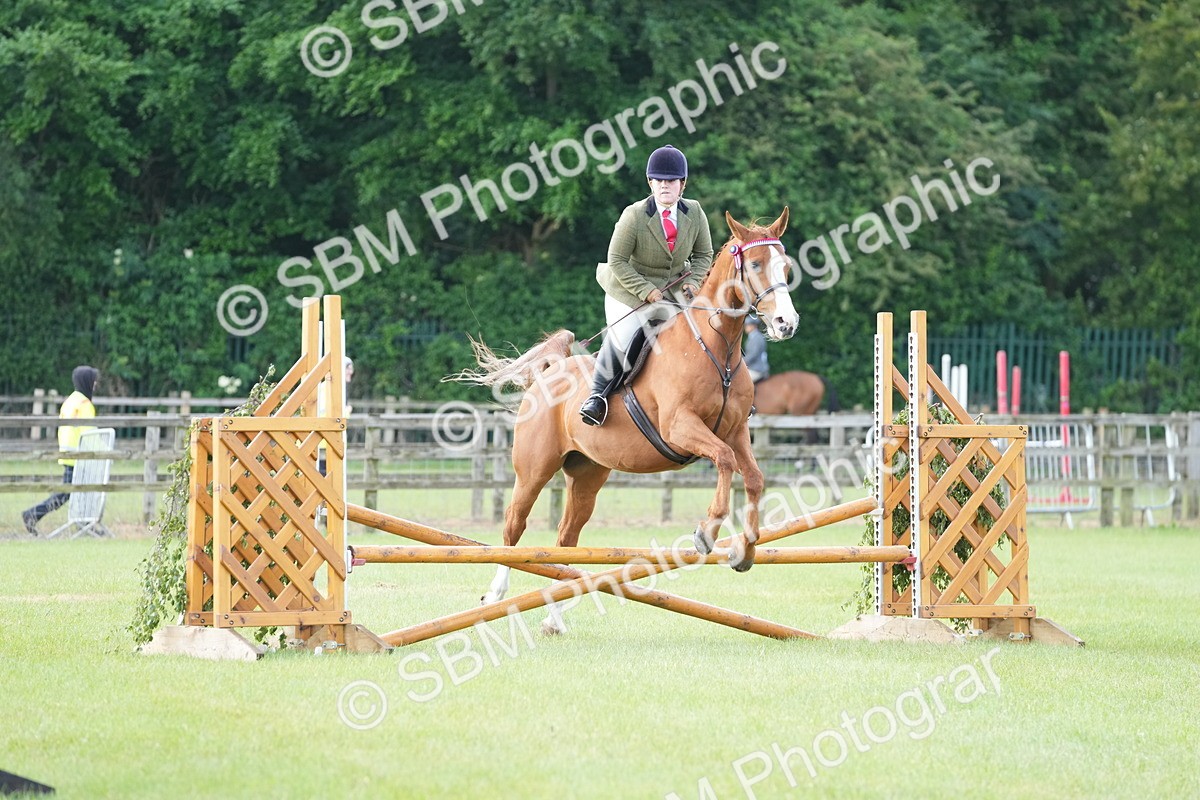 SBM_10468 - Class 97-98 - LIHS BSHA Rising Star Working Show Horse Hunter