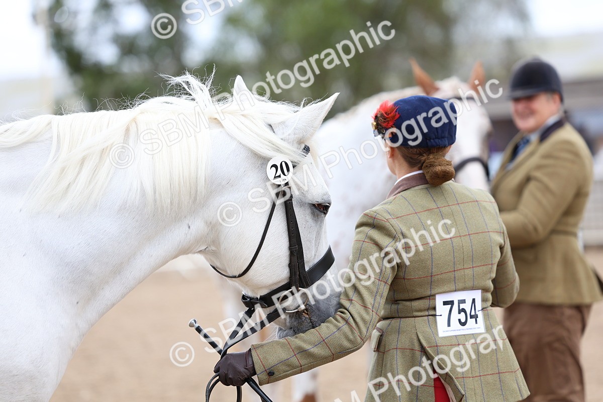 SBM_05097 - Class 27 - IH Competition Horse or Pony