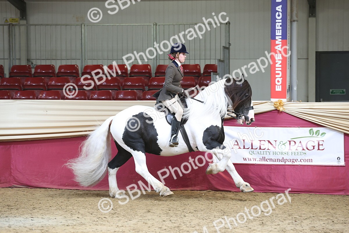 SBM_23735 - class 906 - Supreme Final - Ridden Pre Vet