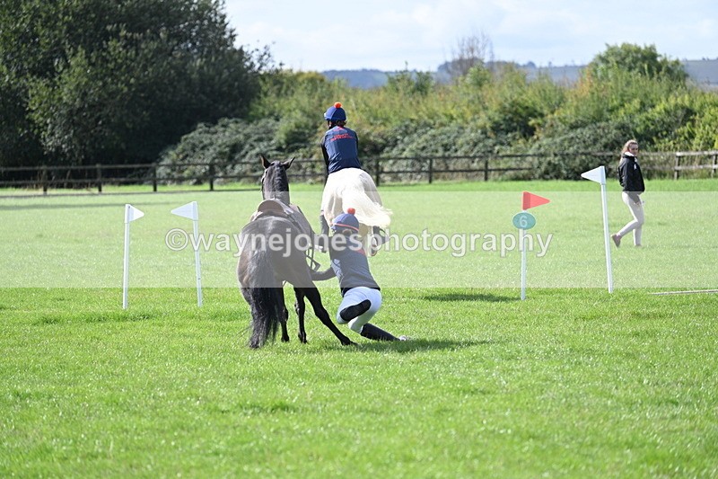 WJ7_8533 - 60cm Pairs