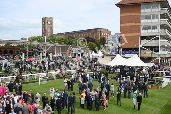 yr13052022r6-14 - Race 6 4.45pm Yorkshire Equine Practice Stakes